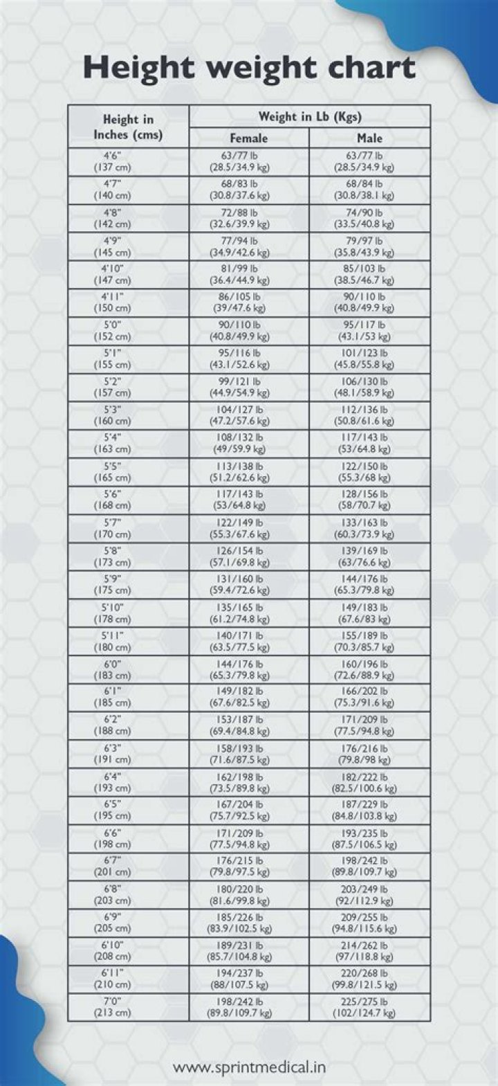 Betty Who Height Weight Body Measurements Shoe Size Statistics