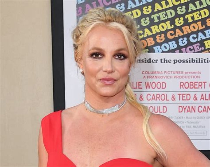 Britney Spears in Bathing Suit Thinks it’s “Crazy Cool” — Celebwell
