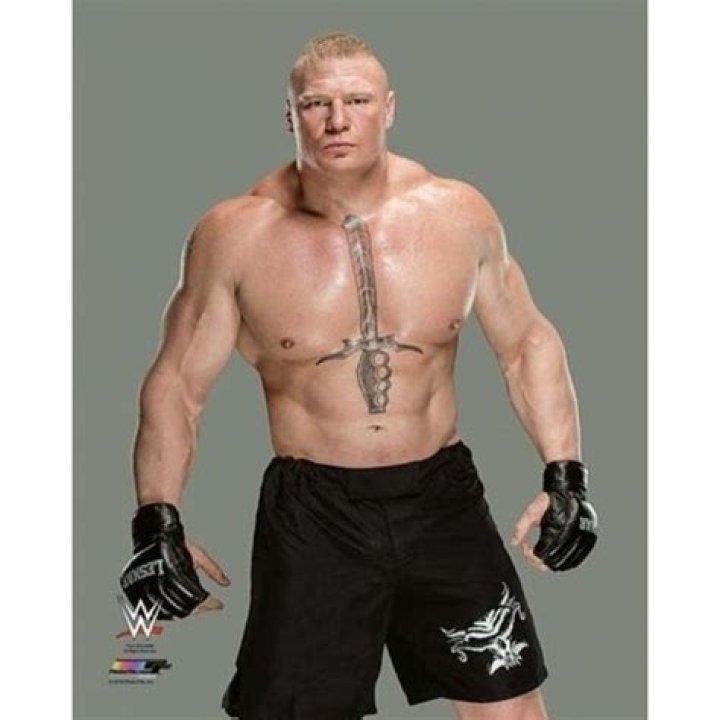 Brock Lesnar Body Measurements Height Weight Shoe Size Biceps Vital Statistics