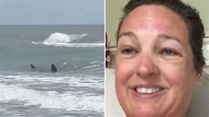 How Did Kimon Bisogno Die? Fernando Pizzas Owner Attacked By Shark