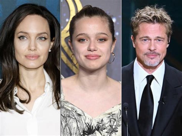 
How Much Money Does Angelina Jolie Make? Latest Income Salary
