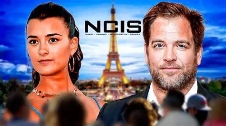 
How Much Money Does Cote De Pablo Make? Latest Income Salary
