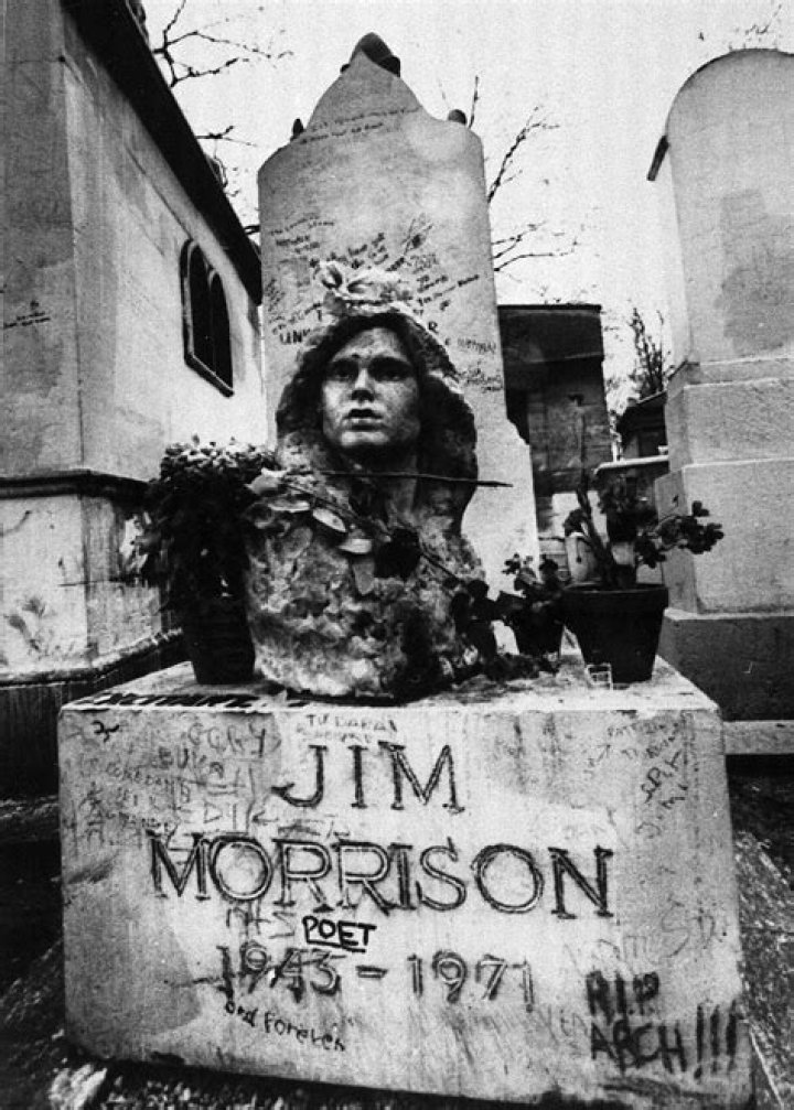 
How Much Money Does Jim Morrison Make? Latest Income Salary
