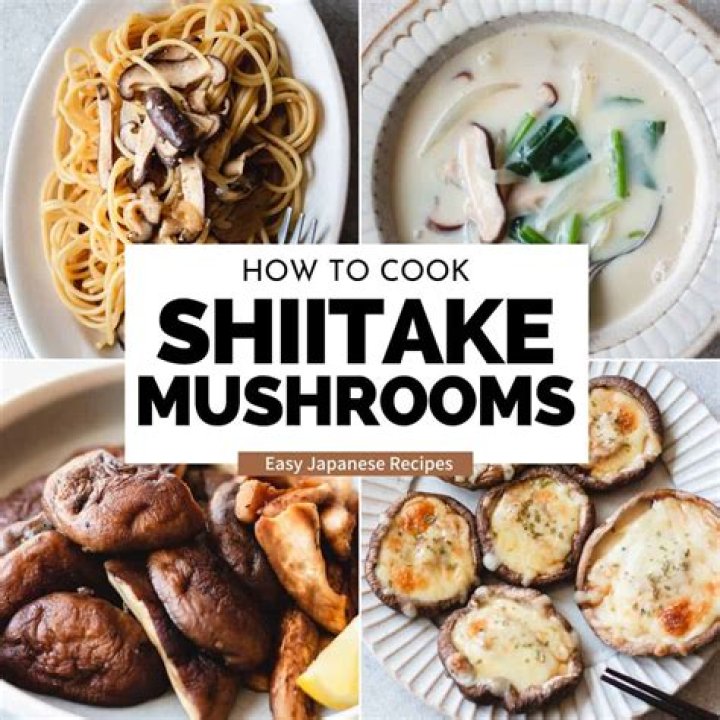 Oh Shiitake Mushrooms video statistics